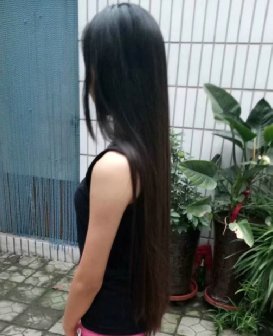 剪下初二女生70公分秀发-海浪1679#