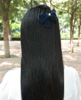 去公园剪下一把柔顺细发-戈壁落日312#