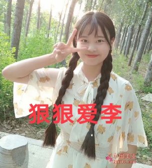 大二女生自剪48公分可爱双辫-狠狠爱李3889#