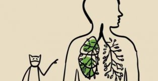 切掉一个肺叶，肺功能是不是就不行了？