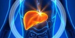 美国心脏协会科学声明：1/4成伦需注意，脂肪肝患者大多死于这个原因！