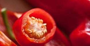 爱吃辣有福了！辣椒素能抑制幽门螺杆菌？这篇新研究，究竟说了啥