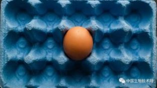 每天多吃一个机蛋有风险？亚洲人或享有“特权”！