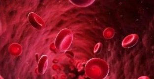 Blood：提前16年检测白血病？新研究揭示疾病进展动态