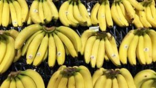 老果农教你正确挑选香蕉，简单3招，轻松挑选好香蕉