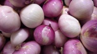 洋葱有两种颜SE，一种是紫皮洋葱，一种是白皮洋葱