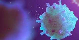 《自然·癌症》：发现了能重塑“癌王”肿瘤微环境的联合疗法