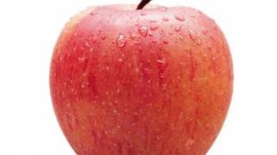 烂苹果的风险——展青霉素