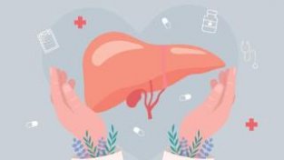 肝纤维化——不可小视的肝脏病变信号