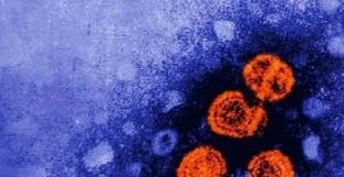 日本报告首例不明原因肝炎病例，该患儿未感染新冠和腺病毒