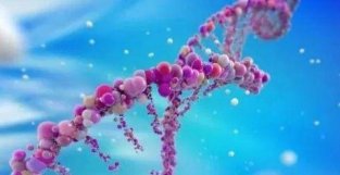 “长寿”基因最新探索，清华万科公共卫生与健康学院发表3项重要研究成果！