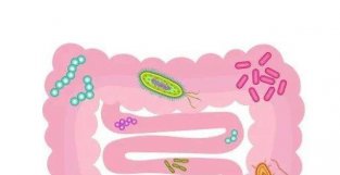 PNAS：你的口味，肠道内微生物来决定！