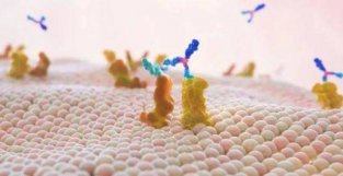【新综述】免疫细胞来源的外泌体：具有前景的抗癌新方法
