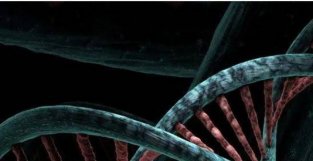 Nature：新研究揭示TLR7基因突变可让人患上狼疮