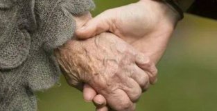 最新《科学》：拥抱、牵手、爱抚为什么会让我们觉得好舒服？