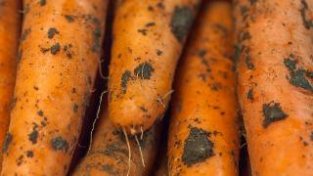 洗净的胡萝卜，含有甲醛吗？听听菜农怎么说，原来这么多年都错了