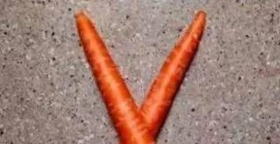 心理学：图中你第一眼看到了什么？胡萝卜还是剪刀？