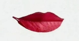 心理学：图中你第一眼看到了什么？嘴唇还是红叶？
