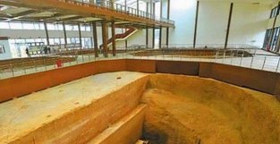 71年河南发掘含嘉仓，专家在木板缝隙取得的谷粒，上千年还能发芽