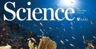 《科学》封面：防晒霜的这种成分，正在杀死珊瑚