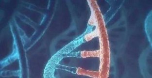 何川/高亚威/高绍荣团队最新《科学》，RNA表观遗传学领域迎来突破