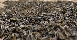 网上传言：一克熟茶五亿霉菌，喝熟茶到底好不好？还能喝普洱茶吗