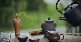福鼎有哪些主要茶树品种？