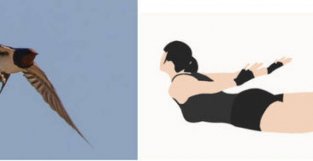 医生建议腰椎间盘突出症患者做小燕飞锻炼，为什么我越做越痛呢？