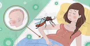 哪些人的气味招蚊子？科学家经过多年研究，终于找到答案