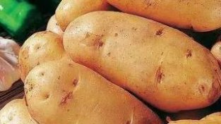 土豆是家常的美味，土豆的做法也多种多样
