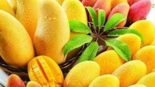 芒果的营养价值很高，但是这五类人不能吃