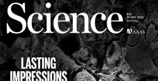 《科学》封面：“幽灵化石”首次现身！这项发现，关乎海洋未来