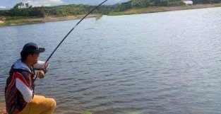 夏季钓鱼如何选钓位？这4个“钓位”不容错过，天气越热越聚鱼！