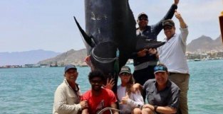 南非3渔夫出海钓鱼，意外钓起一条重达621公斤的大西洋蓝抢鱼