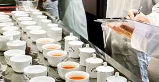 行业动态丨武夷红茶标准样品顺利通过审定