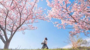 日本摄影师镜头下的春景，被这种简约质朴，摄影风格圈粉了