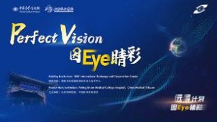 「因Eye睛彩」“一带一路”国家眼科专家研讨会第一期召开