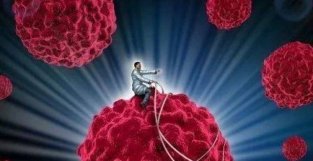 专业抗肿瘤的“超能”T细胞，《自然》子刊又发现了它的小妙招