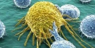 Nature最新报告：抗癌细胞疗法全球发展趋势和挑战