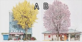 心理测试：四个院子，你最想住哪？一秒测出你是几等命！