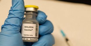 已批准使用的疟疾疫苗是怎样的？疟疾疫苗有哪些难点？