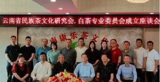 云南省民族茶文化研究会白茶专业委员会揭牌