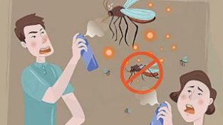 孩子被蚊子叮咬会导致瘫痪吗？了解下