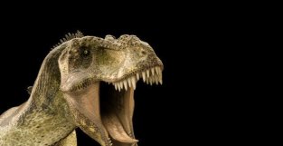 一种巨型食肉恐龙被发现！比霸王龙还古老，却拥有相似前肢