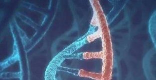 经准医学时代！《自然》综述发现去年超六成新要有人类遗传学证据支持