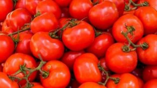番茄的“黄金搭档”，辅助降压、养护血管，营养又美味！