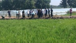 白城市洮北区：新技术推进水稻产业再上新台阶
