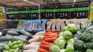 湖北本地蔬菜大量上市价低量足供应稳定