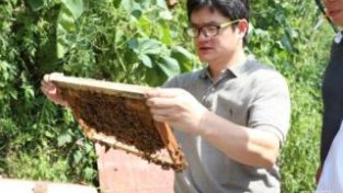 重师“三下乡”：专家把脉支招中蜂产业发展