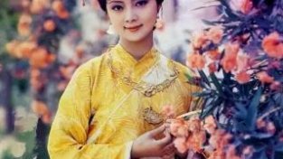 讲真，在87版《红楼梦》中，薛宝钗才是传统女新美的典范